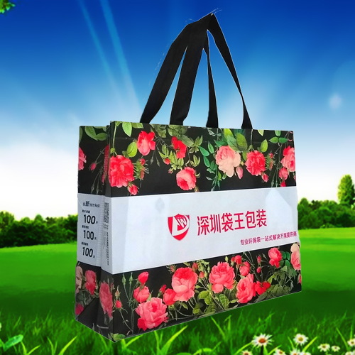 無(wú)紡布覆膜袋